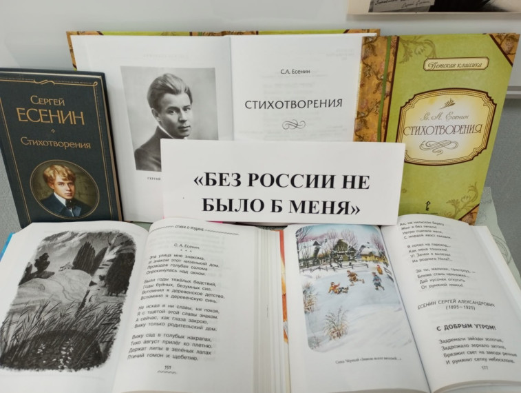 Выставка стихотворений «Без России не было б меня».